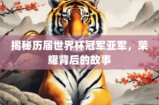揭秘历届世界杯冠军亚军，荣耀背后的故事