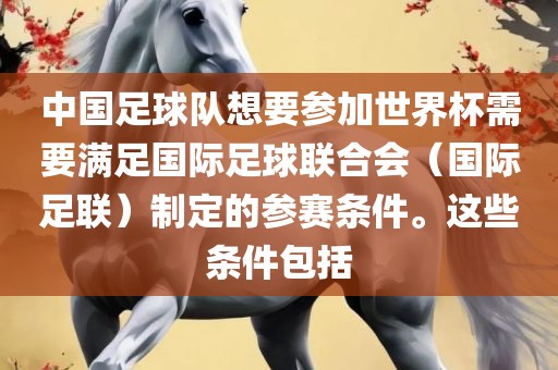 中国足球队想要参加世界杯需要满足国际足球联合会（国际足联）制定的参赛条件。这些条件包括
