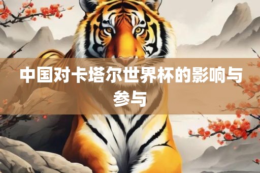 中国对卡塔尔世界杯的影响与参与