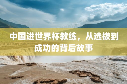中国进世界杯教练，从选拔到成功的背后故事金炬实业股份有限公司