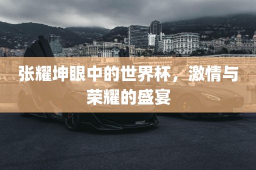 张耀坤眼中的世界杯，激情与荣耀的盛宴