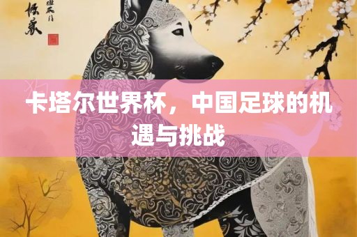 卡塔尔世界杯，中国足球的机遇与挑战