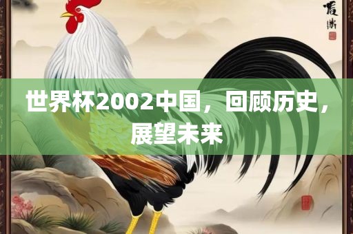 世界杯2002中国，回顾历史，展望未来