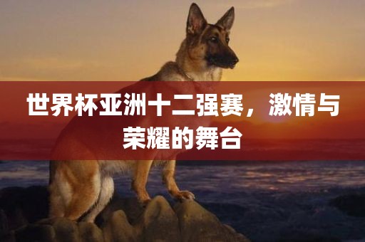 世界杯亚洲十二强赛，激情与荣耀的舞台金炬实业股份有限公司