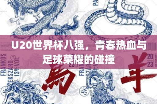 U20世界杯八强，青春热血与足球荣耀的碰撞