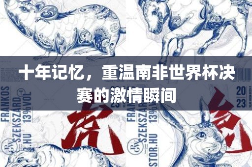 十年记忆，重温南非世界杯决赛的激情瞬间