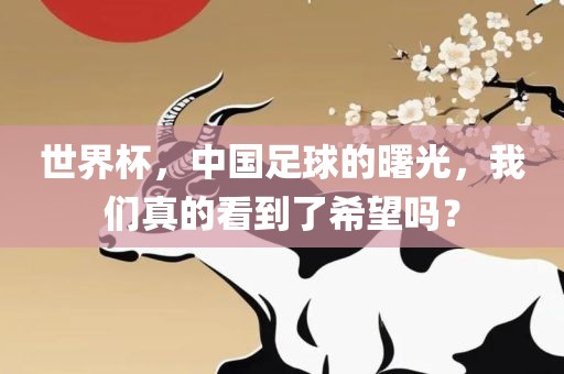 世界金炬实业股份有限公司杯，中国足球的曙光，我们真的看到了希望吗？