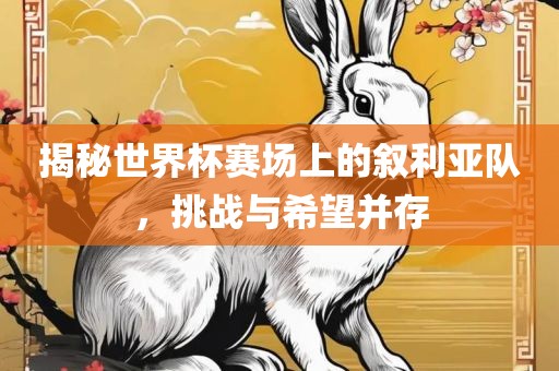 揭秘世界杯赛场上的叙利亚队，挑战与希望并存