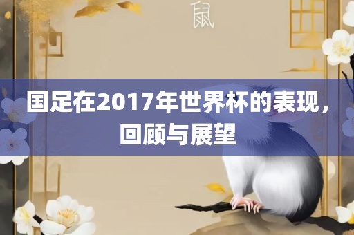国足在2017年世界杯的表现，回顾与展望