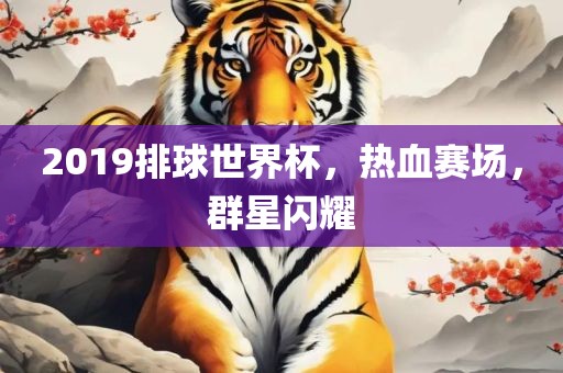 2019排球世界杯，热血赛金炬实业股份有限公司场，群星闪耀