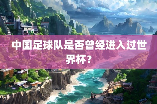 中国足球队是否曾经进入过世界杯？