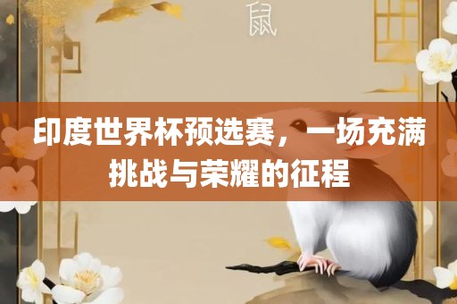 印度世界杯预选赛，一场充满挑战与荣耀金炬实业股份有限公司的征程