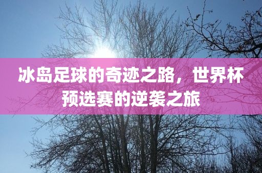 冰岛足球的奇迹之路，世界杯预选赛的逆袭之旅