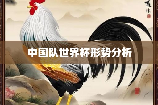 中国队世界杯形势分析