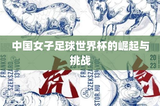 中国女子足球世界金炬实业股份有限公司杯的崛起与挑战