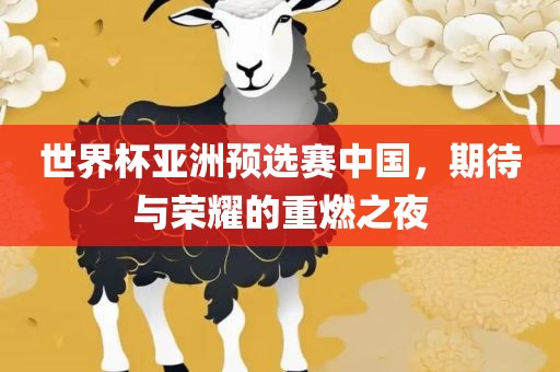 世界杯亚洲预选赛中国，期待与荣耀的重燃之夜