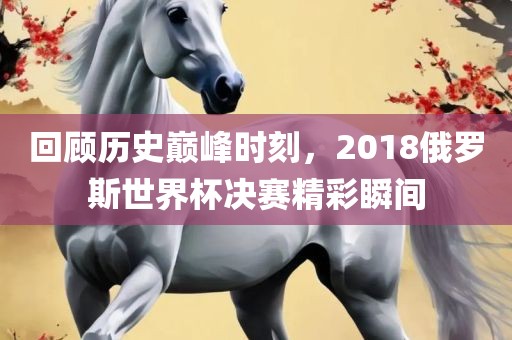 回顾历史巅峰时刻，2018俄罗斯世界杯决赛精彩瞬间