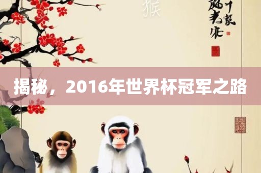 揭秘，2016年世界杯冠军之路