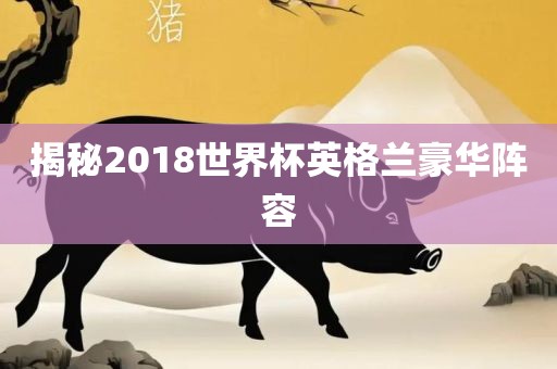 揭秘2018世界杯英格兰豪华阵容金炬实业股份有限公司
