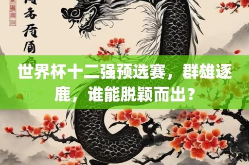 世界杯十二强预选赛，群雄逐鹿，谁能脱颖而出？