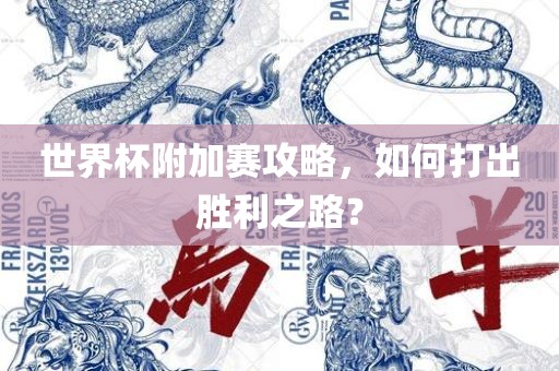 世界杯附加赛攻略，如何打出胜利之路？
