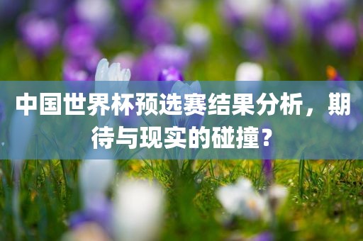 中国世界杯预选赛结果分析，期待与现实的碰撞？