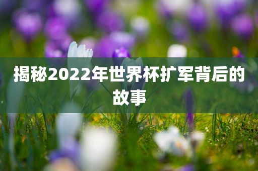 揭秘2022年世界杯扩军背后的故事