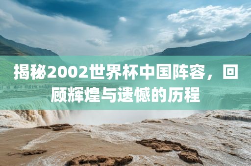 揭秘2002世界杯中国阵容，回顾辉煌与遗憾的历金炬实业股份有限公司程
