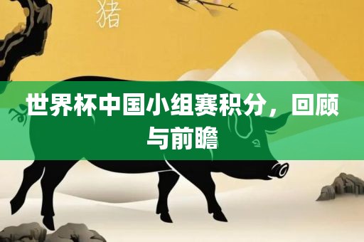 世界杯中国小组赛积分，回顾与前瞻