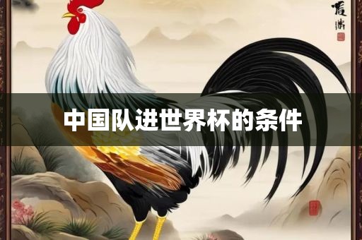 中国队进世界杯的条件金炬实业股份有限公司