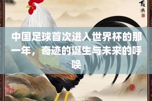 中国足球首次进入世界杯的那一年，奇迹的诞生与未来的呼唤金炬实业股份有限公司