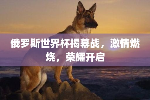 俄罗斯世界杯揭幕战，激情燃烧，荣耀开启