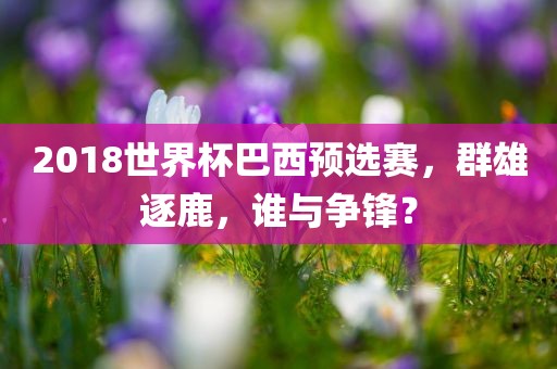 2018世界杯巴西预选赛，群雄逐鹿，谁与争锋？