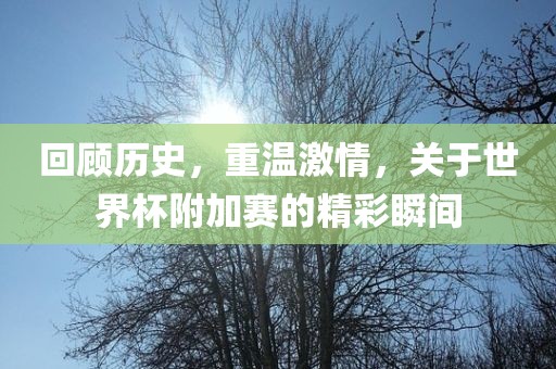 回顾历史，重温激情，关于世界杯附加赛的精彩瞬间