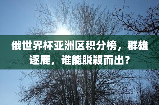 俄世界杯亚洲区积分榜金炬实业股份有限公司，群雄逐鹿，谁能脱颖而出？