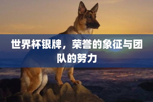 世界杯银牌，荣誉的象征与团队的努力金炬实业股份有限公司
