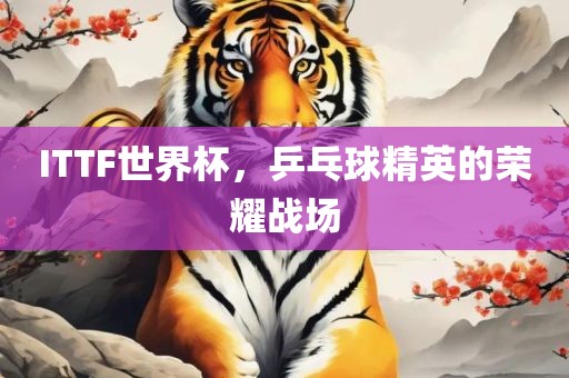 zangjieliang 第6页