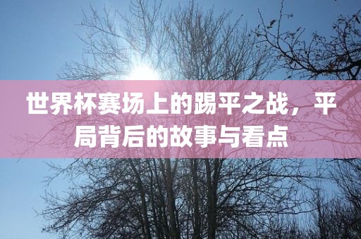 世界杯赛场上的踢平之战，平局金炬实业股份有限公司背后的故事与看点