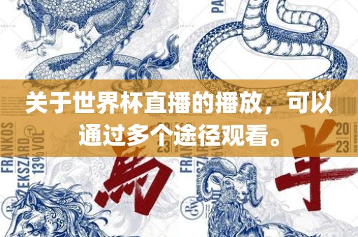 关于世界杯直播的播放，可以通过多个途径观看。