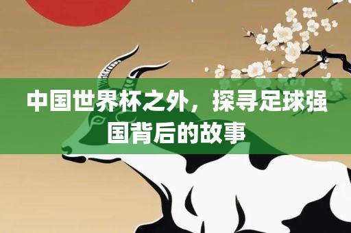中国世界杯之外，探寻足球强国背后的故事