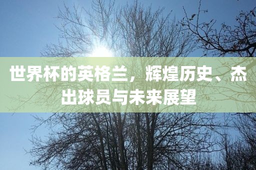 世界杯的英格兰，辉煌历史、杰出球员与未来展望