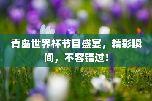 青岛世界杯节目盛宴，精彩瞬间，不容错过！