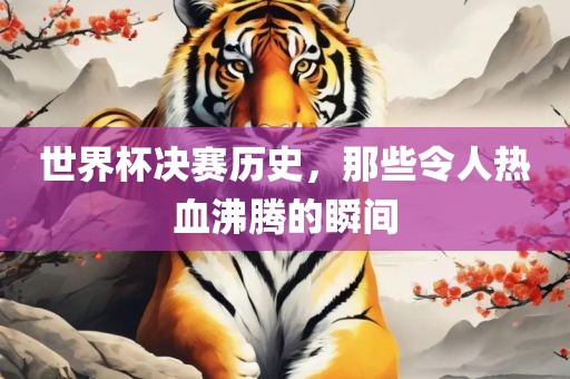 世界杯决赛历史，那些令人热血沸腾的瞬间金炬实业股份有限公司