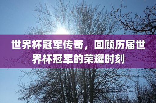 世界杯冠军传奇，回顾历届世界杯冠军的荣耀时刻