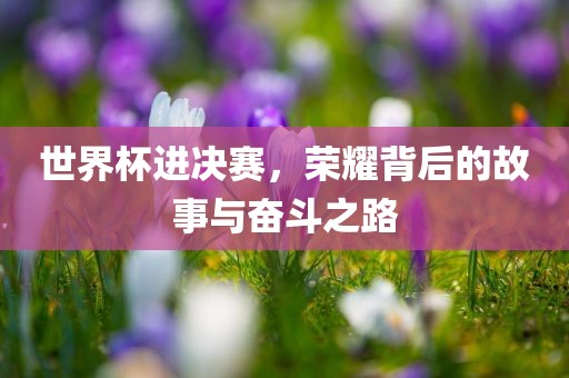 世界杯进决赛，荣耀背后的故事与奋斗之路