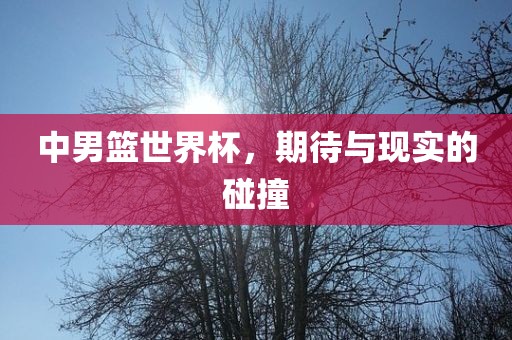 中男篮世界杯，期待与现实的碰撞