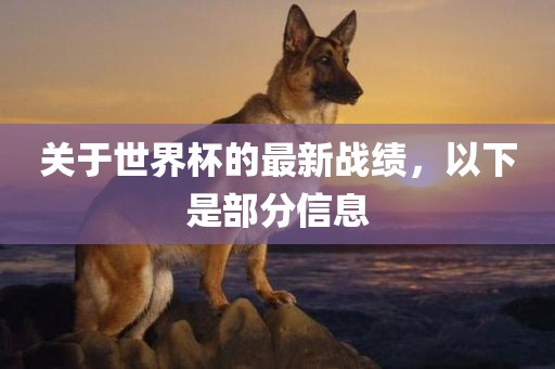 关于世界杯的最新战绩，以下是部分信息金炬实业股份有限公司