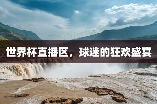 世界杯直播区，球迷的狂欢盛宴