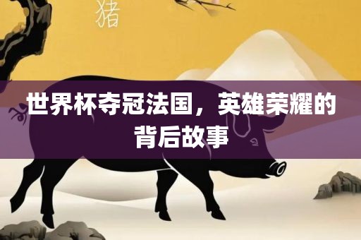 世界杯夺冠法国，英雄荣耀的背后故事金炬实业股份有限公司