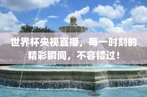 世界杯央视直播，每一时刻的精彩瞬间，不容错过！